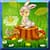 Sweet Bunny Coloring Book