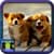 Cute Dog Pics