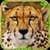 Furious Cheetah Simulator