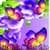 Purple Flair Live Wallpaper