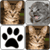 Cats Memory Game 2015