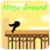 Ninja Ground
