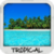 Tropical Wallpapers