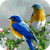 Flight Break Live Wallpaper