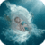 Nest Of Baby Live Wallpaper