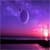 Beautiful Purple Wallpaper