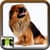 Dog Photos Free