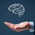 Emotional  Intelligence