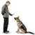 Training A Dog For Show App