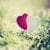 Expression of Love Symbols Wallpaper
