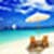 Beach  frame pic