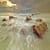 Ocean waves flow off the rocks Wikipedia