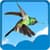 Free Hummingbird Live Wallpapers