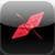An Origami Crane Learning Experience