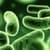 Antibiotic Advisor 2011