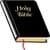 Bible study guide