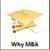 Why MBA