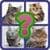 The Kids Animal Quiz
