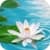 Lily on Water Live Wallpaper