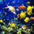 Incredible Fish Wallpaper