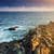 Atlantic Coast Live Wallpaper