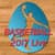 7 Days Basket Ball