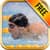 How to Swim - Swimming Lessons Technique and Tips