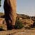 Nature Live Wallpaper 151