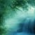 MYSTERIOUS WATERFALL LWP