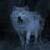 Wild Wolf Live Wallpaper Free
