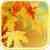 Autumn Leaves Video Wallpaper