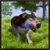 Wolf Clan Simulator