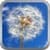 my Air Quality