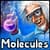 The Molecules