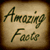 Amazing Facts 240x320 NonTouch