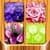 Flowers Memory Game