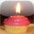 Special Day