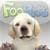 FooPets Marley Puppy