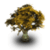 Tree Wallpapers app