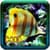 Free Download Fish HD Wallpaper