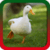 Duck Ringtones