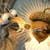 Ice Age Live Wallpaper 4