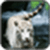 Animal Image App