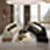 Hd Home decoration wallpaper