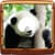 Cool Animal Photo Montage