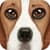 Ultimate Dog Simulator