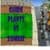Guide Plants vs Zombie