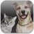 Cats and Dogs Ringtones Free