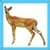 Kids Deer