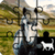 Horse Jigsaw Puzzle Game